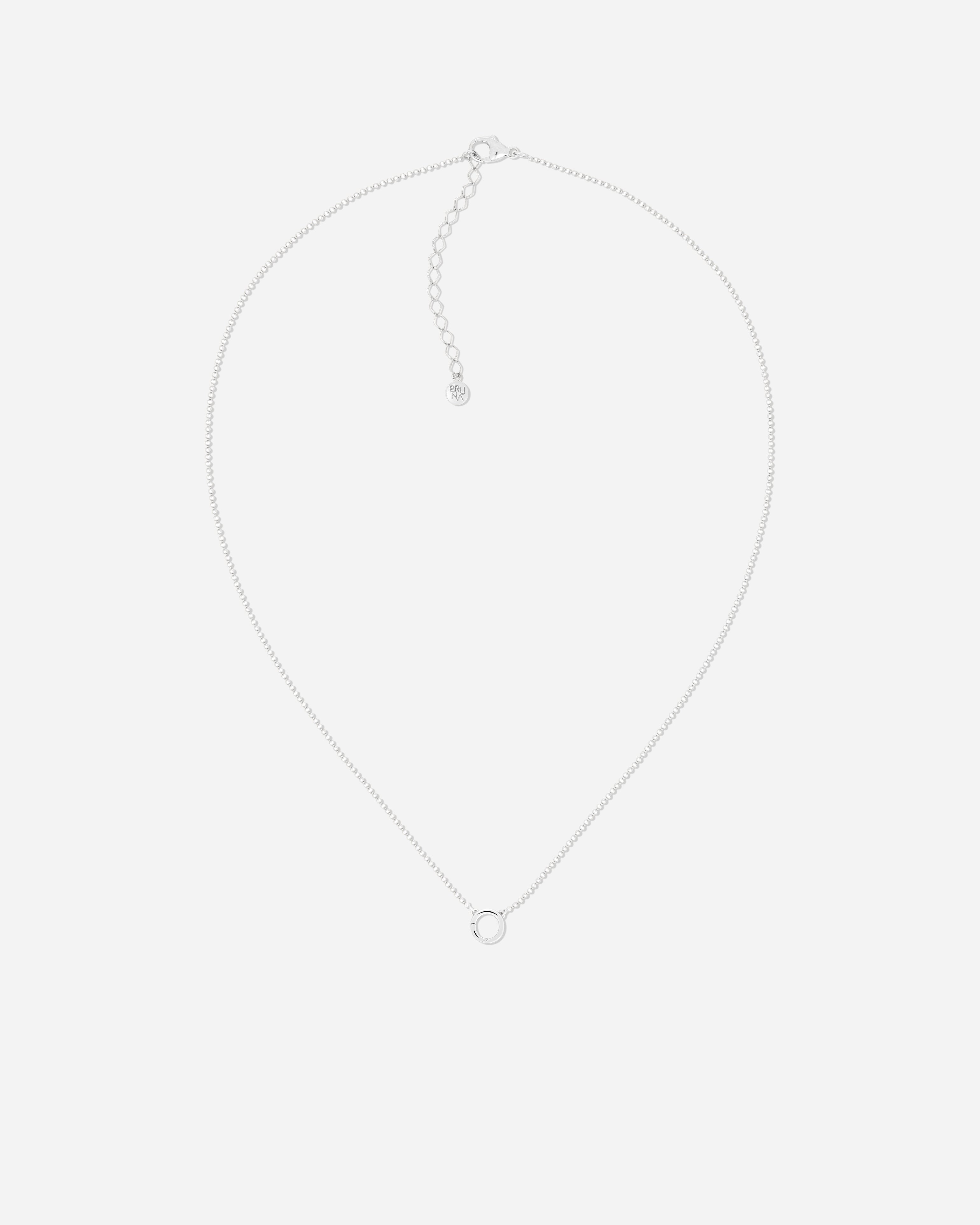 Delphi Charm Clasp Necklace