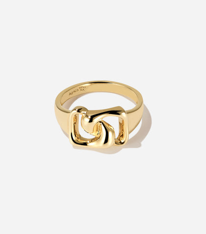 Ensemble Ring