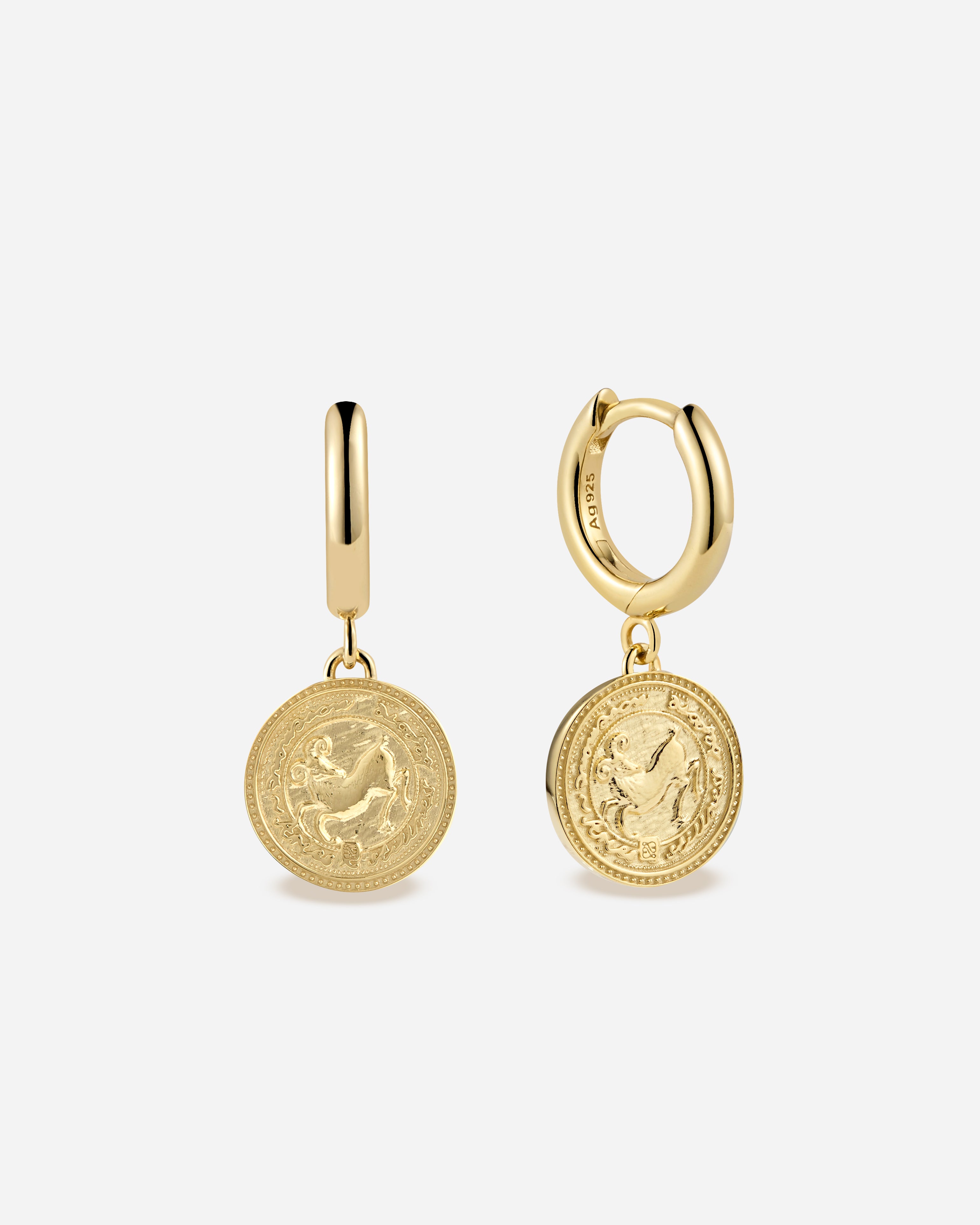 Zodiac Hoops