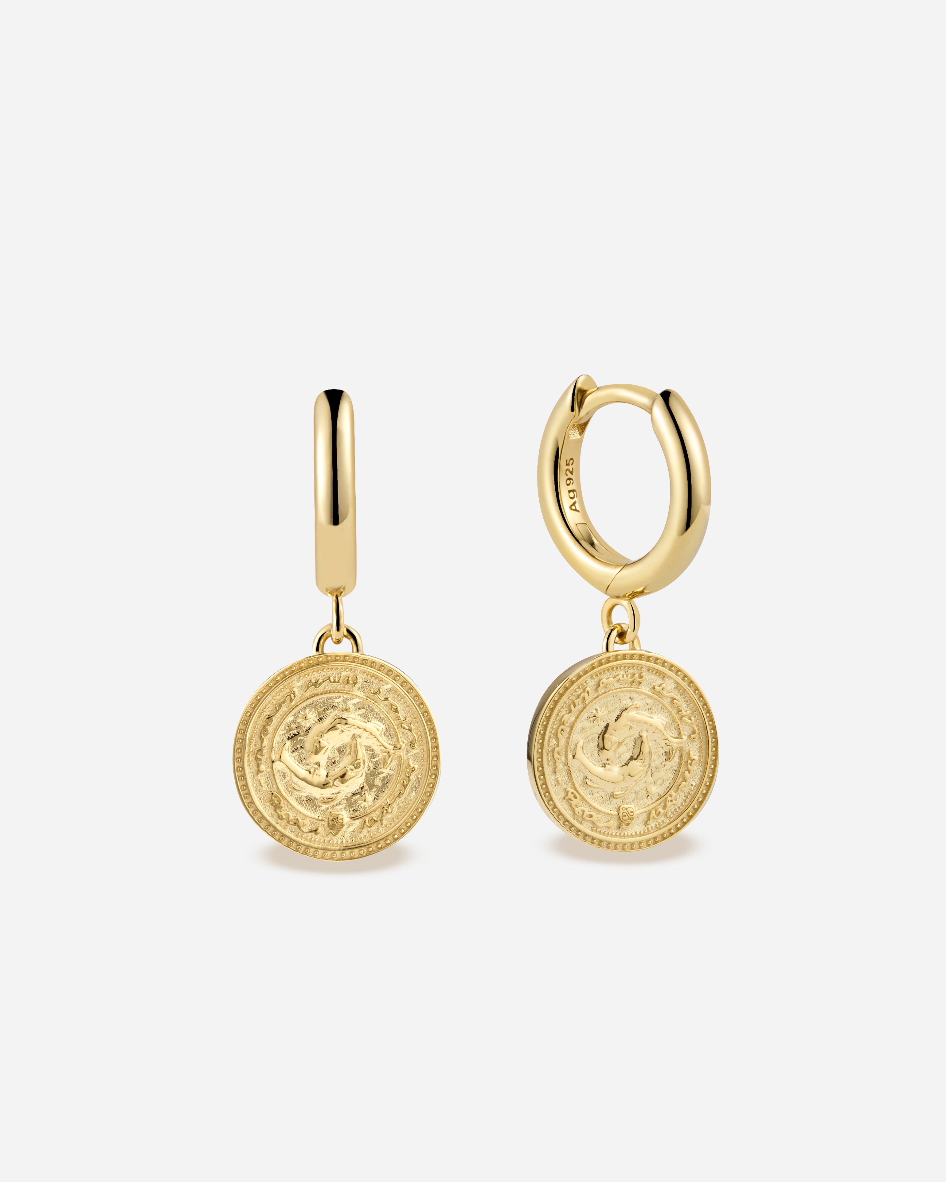 Zodiac Hoops