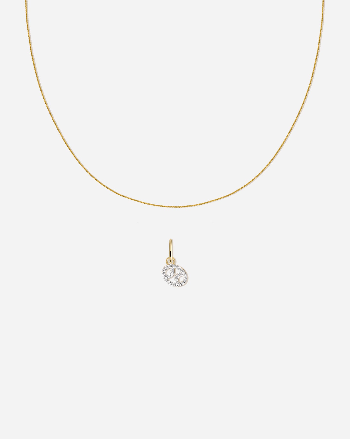 Zodiac Charm Set