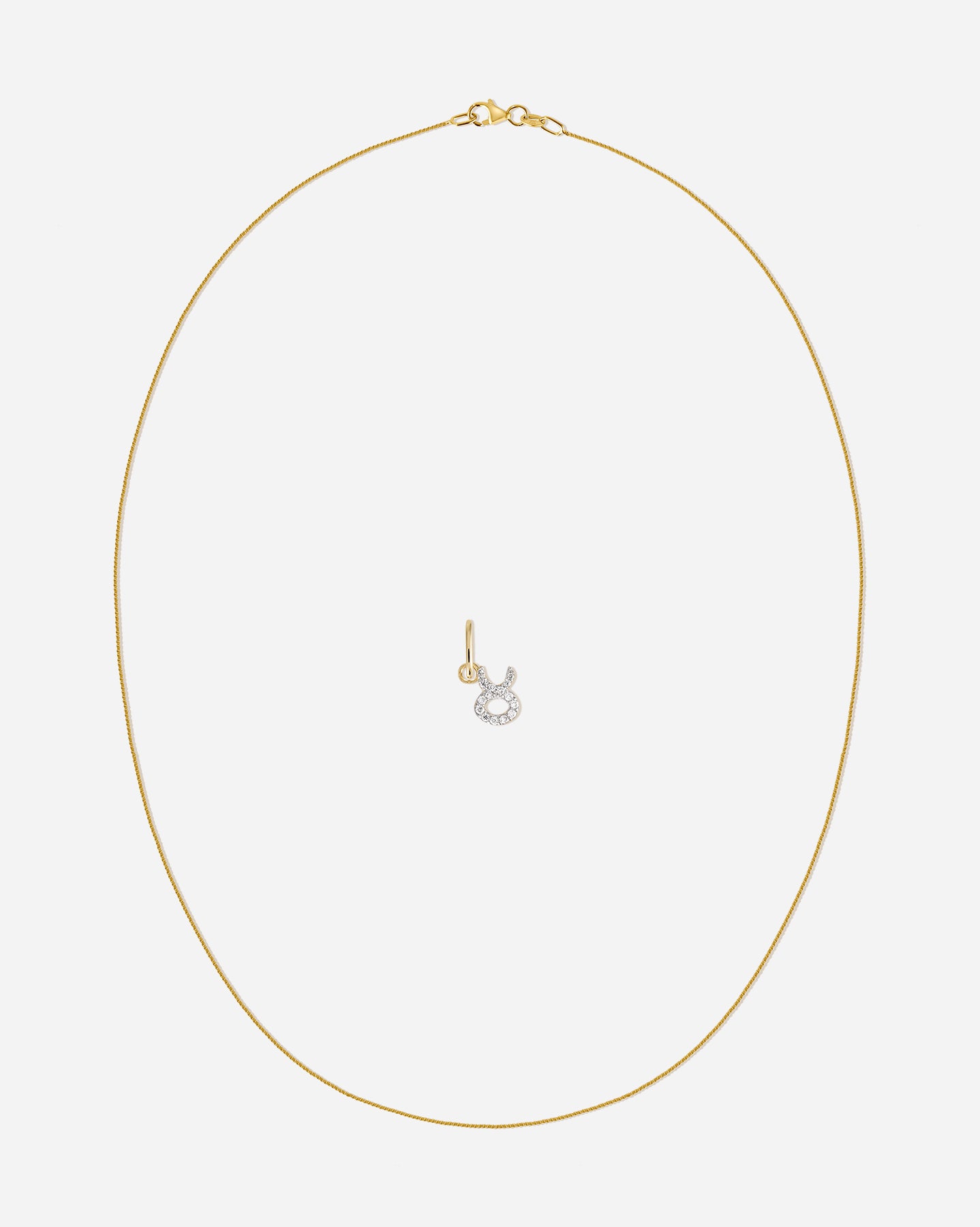 Zodiac Charm Set