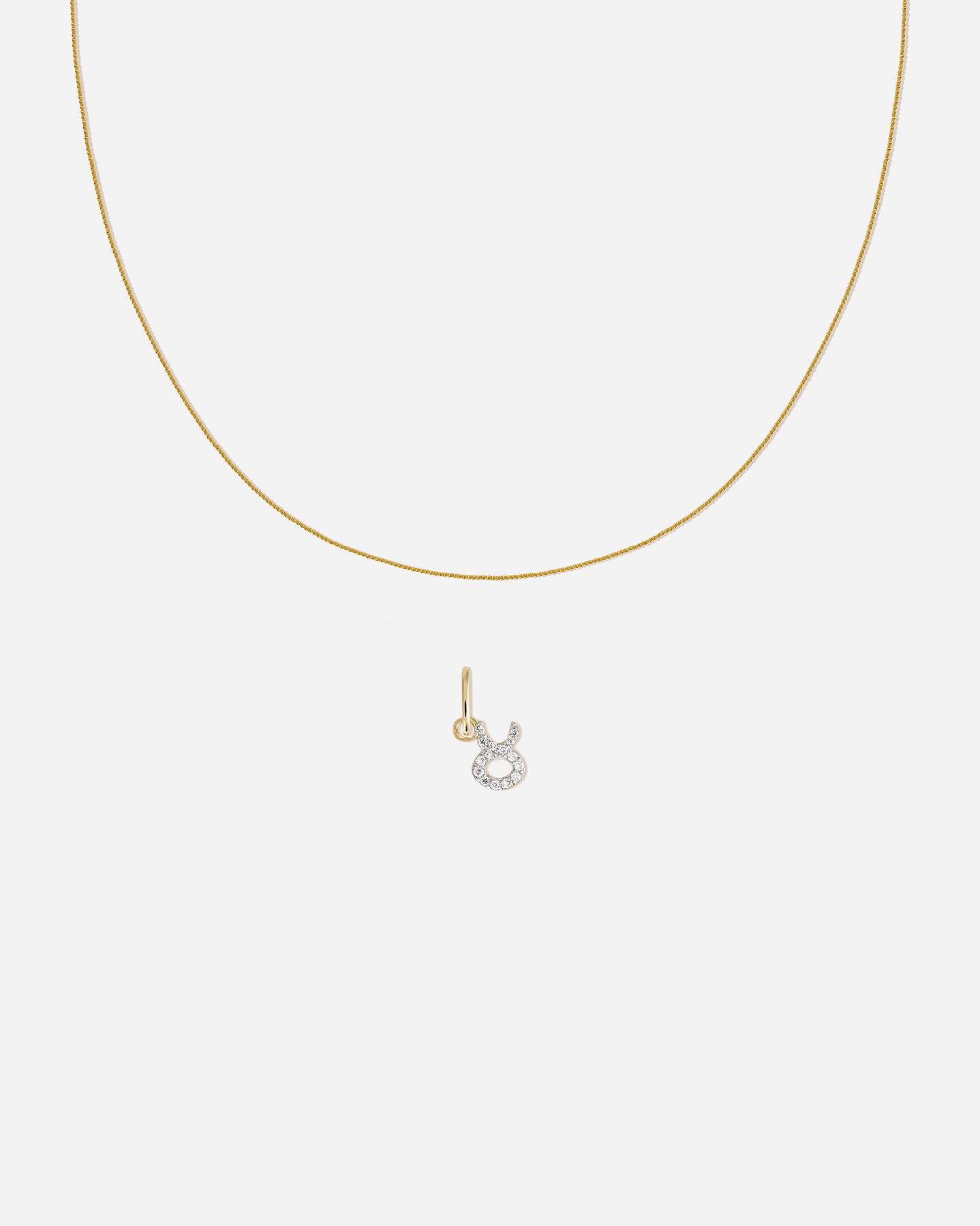 Zodiac Charm Set