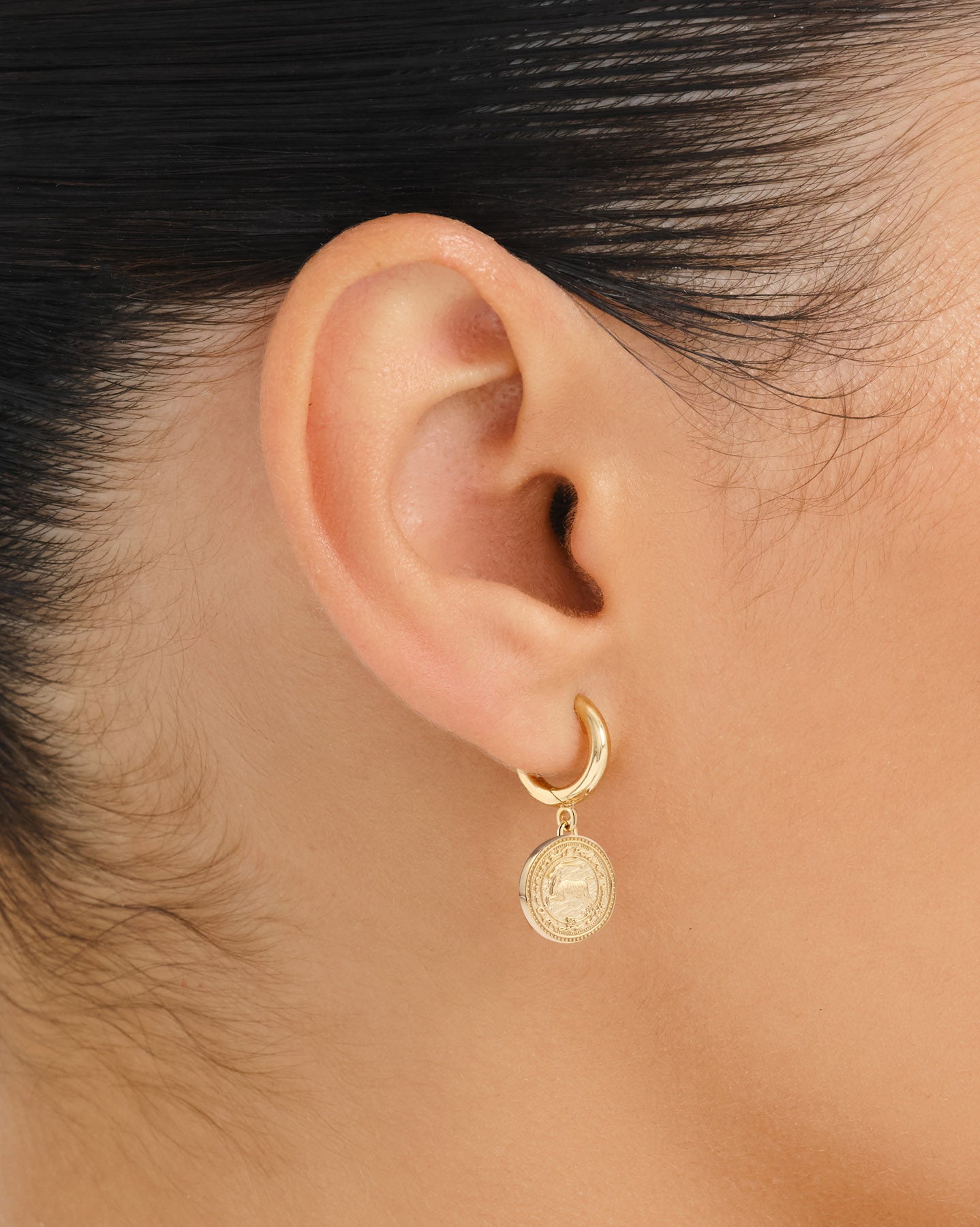 Zodiac Hoops